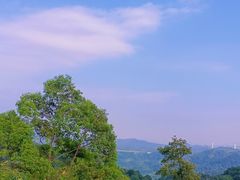 -广州市帽峰山景区