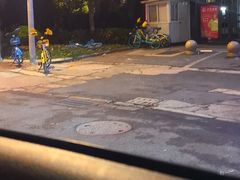 -上海体育场