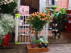 -长寿面(北京西路店)