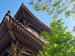 -西安青龙寺遗址景区