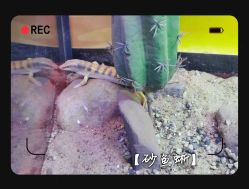 -酷嗒动物文化乐园(cutezoo西溪乐天城店)