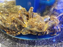 -新海渔港·胶东海鲜家常菜·家宴(奥体中心店)