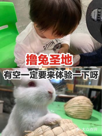 撸兔圣地，有空一定要来体验一下呀！