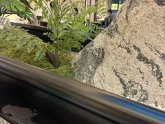 -径山十八道·风味民间菜(杭州总店)