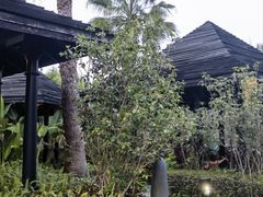 -广州从化都喜泰丽度假酒店温泉