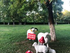 -万达广场(大明宫店)