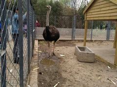 -长白岛森林公园