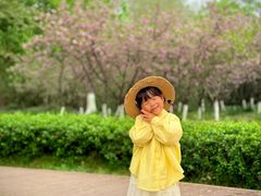 -太子山公园(园东路)