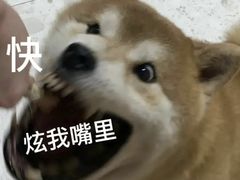 -尼玛藏家风味园(阿山食城店)