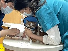 -联合动物医院(光谷诊疗中心)