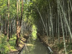 -同里国家湿地公园