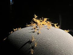 -深圳珠宝博物馆