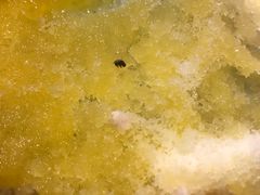 -环球约客烤涮自助(铜锣湾店)