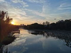 -新江湾城公园