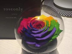 -ROSEONLY诺誓(青岛万象城店)