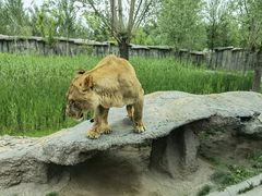 -北京野生动物园