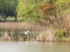 -梁鸿国家湿地公园