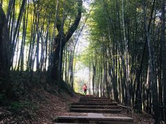 -西湖风景区十里琅珰-五云山