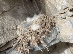 -龙云山风景区-鹿皮关长城