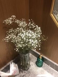 -苑苑vbeauty科技美容SPA