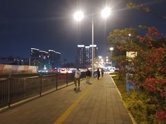 -白鹭洲公园