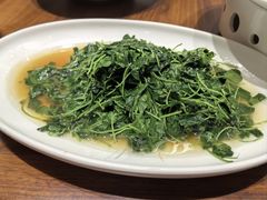 -老绍兴养和饭店(向阳不夜城店)