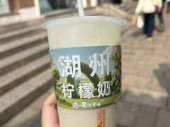 -猫的魔法密林(衣裳街店)