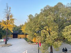 -西园戒幢律寺