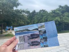 -广东惠东海龟国家级自然保护区