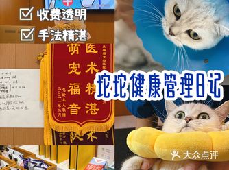坨坨的绝育日记，大事完成！