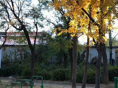 -金州副都统衙门博物馆