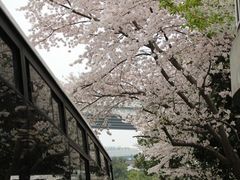 -上海南浦大桥长途旅游客运站