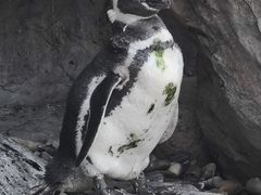-上海野生动物园