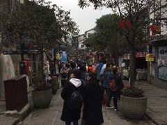 -胖娃古镇鸡杂(磁器口总店)