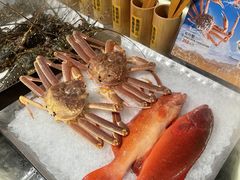 -南海渔村(珠江新城店)