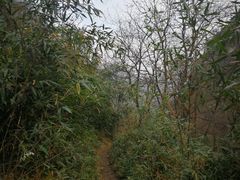 -石砭峪水库