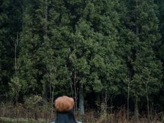 -武陵山森林公园