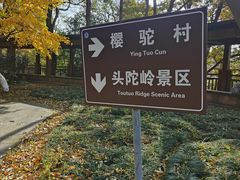 -紫金山山顶公园