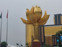 -金莲花广场