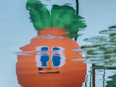 -西湖游船