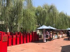 -芜湖方特东方神画