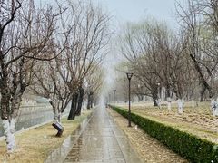 -元大都城垣遗址公园