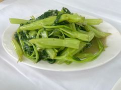 -新陶陶酒家