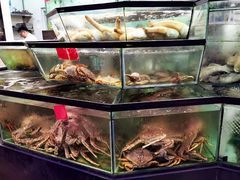 -镇发活海鲜(Clementi)