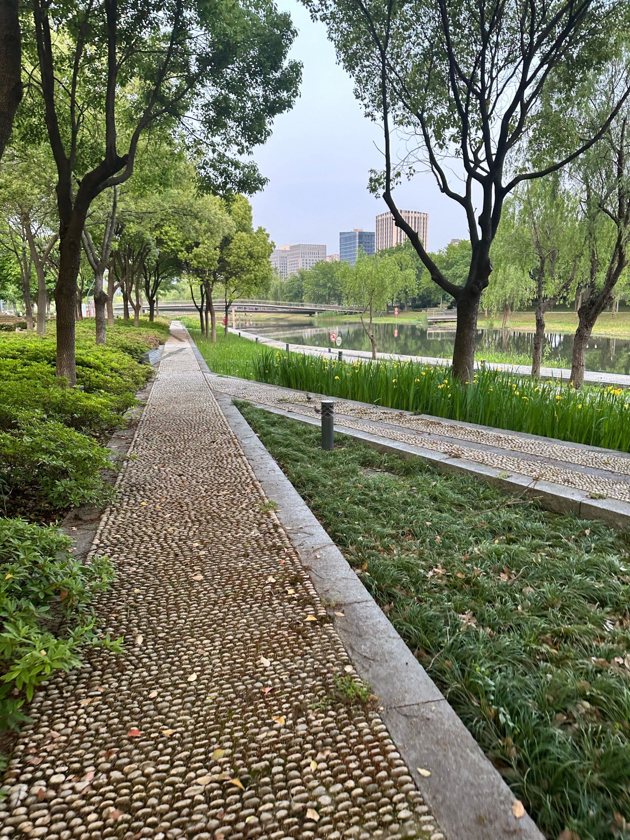嘉定图书馆边上的紫气东来公园,工作日也都是人