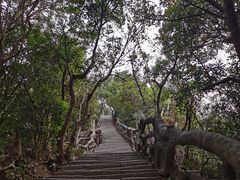 -梧桐山风景名胜区