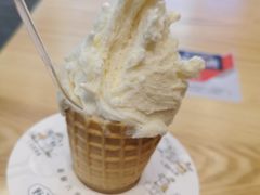 -野人先生现做冰淇淋(北京环宇荟店)