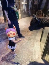 -酷嗒动物文化乐园(cutezoo西溪乐天城店)