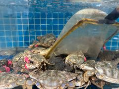 -宾朋海鲜特色美食餐厅·纯手工鲅鱼水饺(兴海路店)