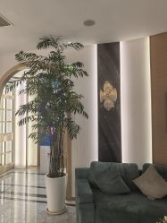 -雅曼妮spa美容养生